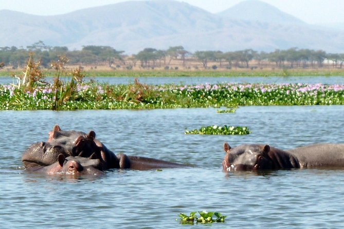 Day Tour to Hells Gate and Optional Boat Ride at Lake Naivasha - Additional Considerations