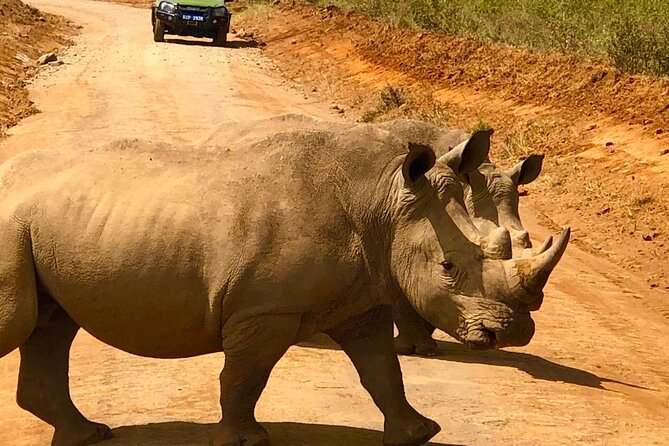 Day Tour to Nairobi National Park and Giraffe Center - Exploring Nairobi National Park