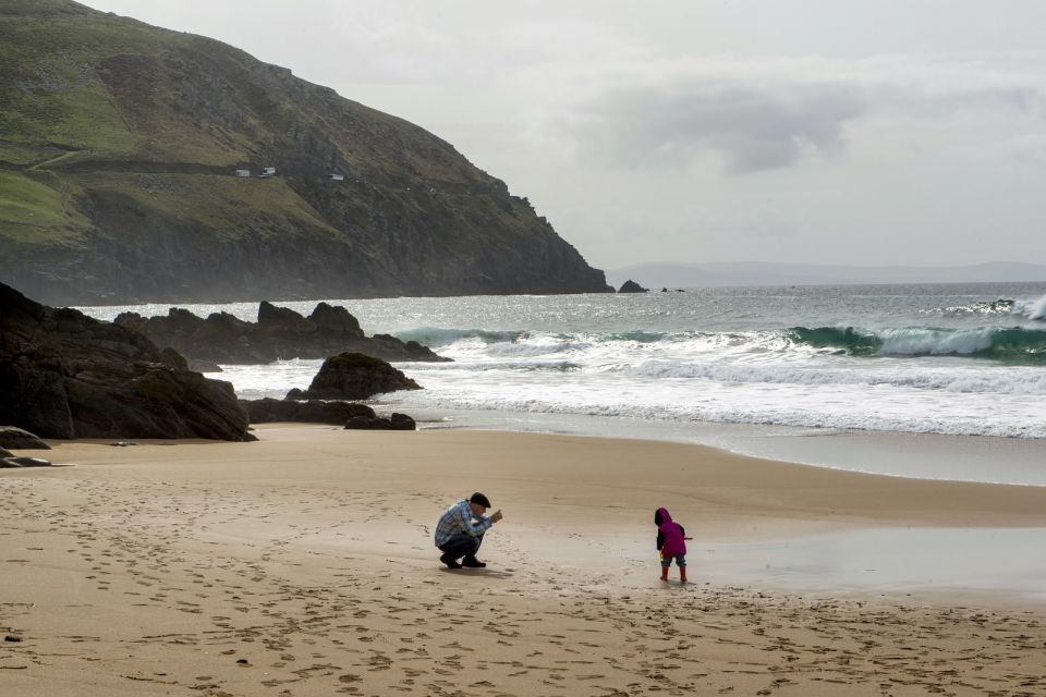 Dingle Day Tour From Limerick - Departure From Limerick