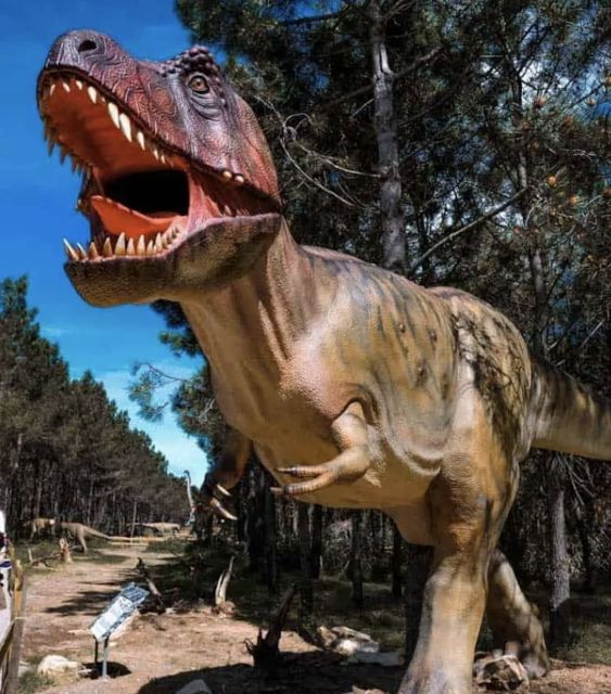 Dinosaurs Park - Family Half Day Tour - Transportation and Accessibility