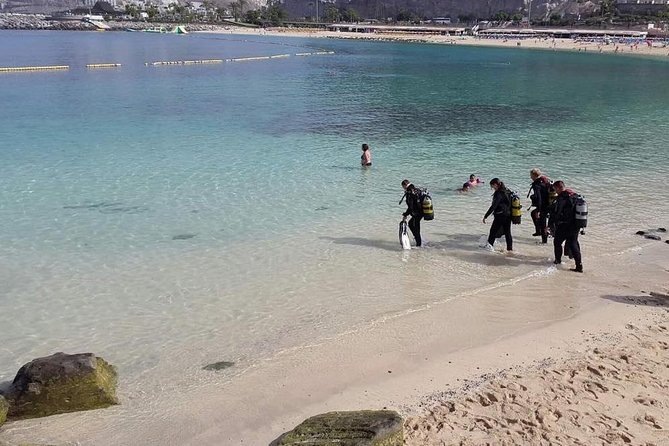 Discover Scuba Diving in Gran Canaria With Hotel Pick-Up - Impressive Guest Reviews