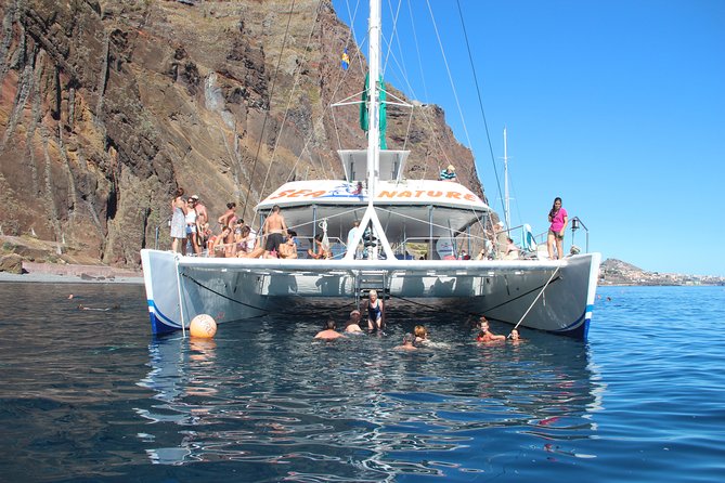 Dolphin and Whale Watching Catamaran Cruise From Funchal - Swimming and Sailing Opportunities