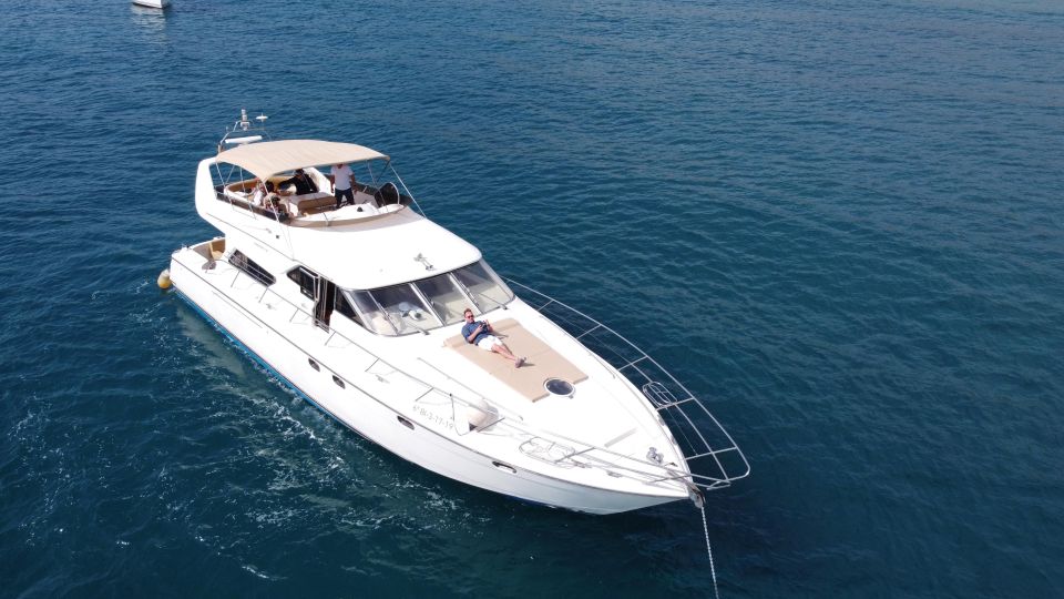 Dolphin & Whale Watching With Luxury Yacht - Variety of Water Activities