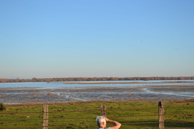 Doñana National Park and El Rocío: Guided Tour From Seville - Inclusions and Exclusions