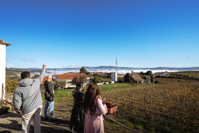 DOURO VALLEY in 8 Pax Groups W/ 2 Wineries, Lunch and 1h Cruise - Douro River Cruise