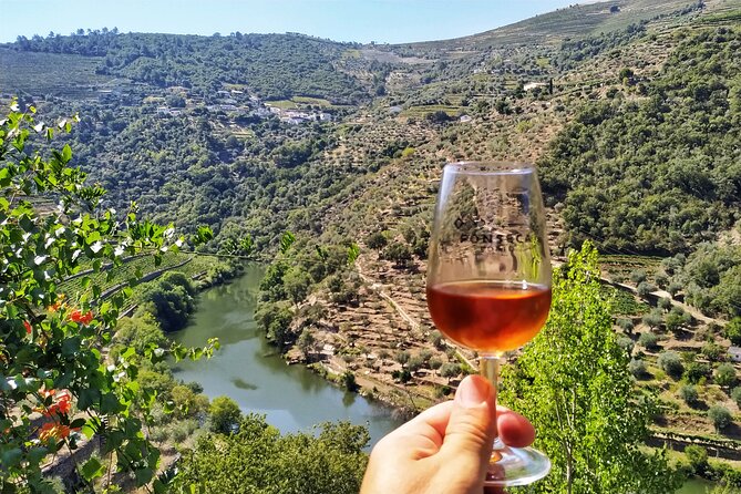 Douro Valley Prime Tour: Wine Tasting, Boat and Lunch From Porto - Admiring Picturesque Landscapes