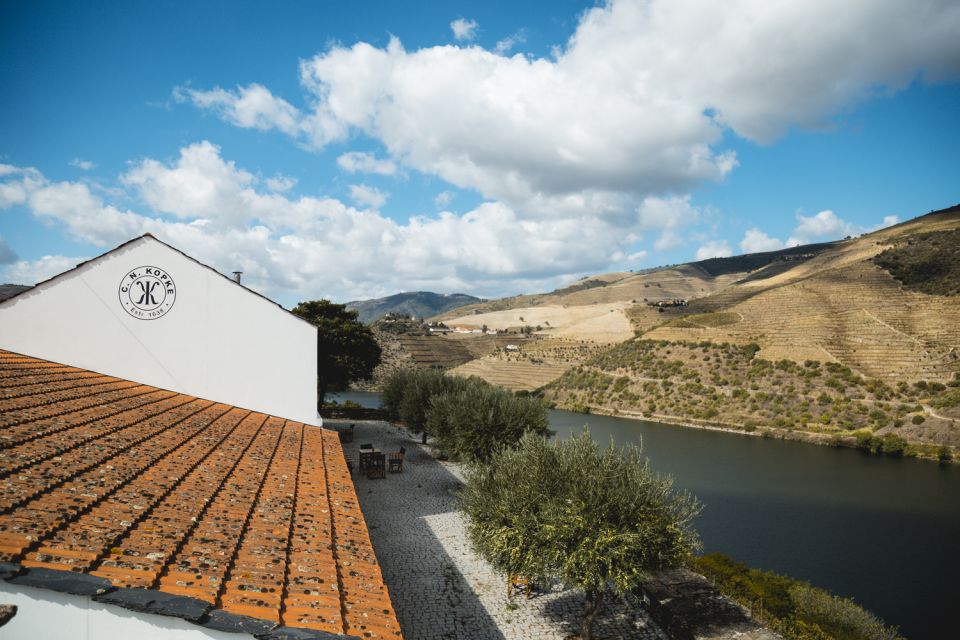 Douro Valley: Quinta De S. Luiz Winery Tour and Tasting - Tasting Options and Inclusions