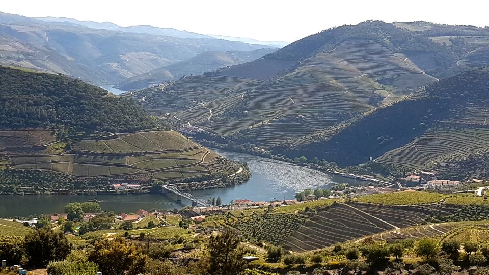 Douro Valley Tour Wines and Breathtaking Views - Pickup Location