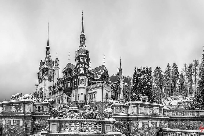 Draculas Castle, Peles Castle and Brasov - Private Day Trip From Bucharest - Customer Reviews