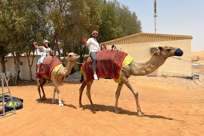 Dubai Desert Safari, Dune Bashing, Camel Ride, Sandboarding & BBQ - Authentic Camel Riding Tour