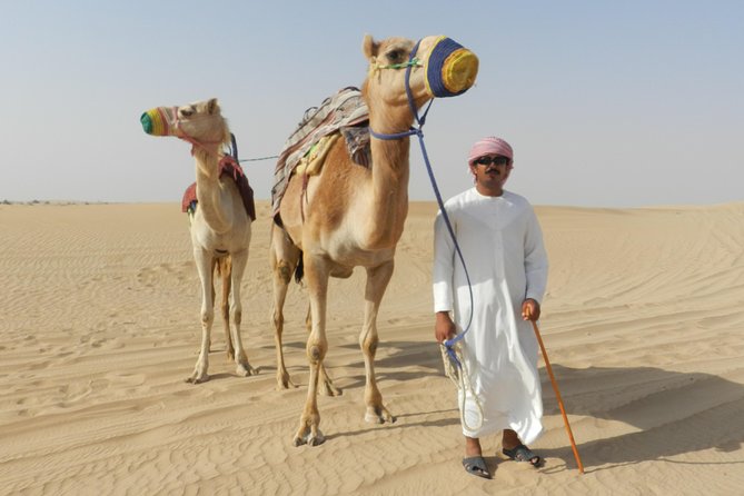 Dubai Desert Safari With Bbq, 3 Shows & Camel Ride at Majlis Camp - Entry Requirements for the Safari