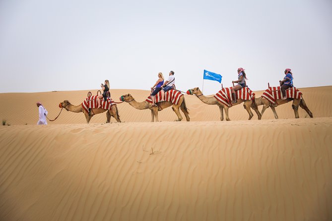 Dubai: Half-Day Quad Bike Safari, Camel Ride & Refreshment - Quad Biking and Sandboarding