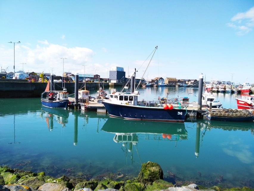 Dublin: Full-Day Howth and Malahide Castle Tour - Exploring Dublin Bay Coast