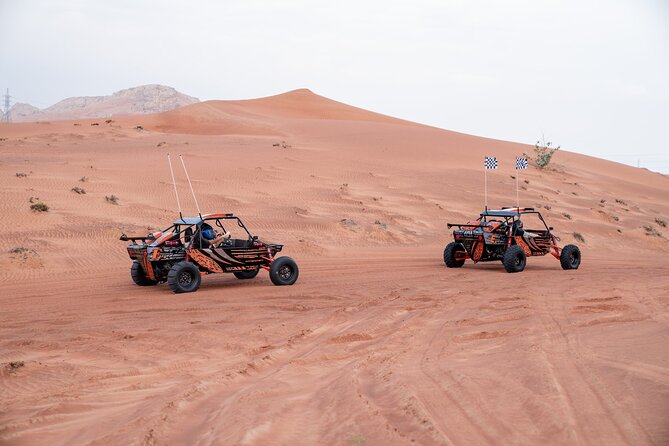 Dune Buggy Experience & Fossil Discovery in Mleiha National Park - Inclusions and Accessibility