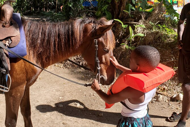 Dunns River Falls Climb, Zipline and Horseback Riding Private Tour - Planning Your Tour