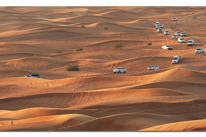 DXB Morning Desert Safari With Camel Ride & Sand Boarding - Suitability and Accessibility