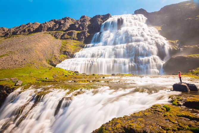 Dynjandi Waterfall & Iceland Farm Visit Tour - Farm Experiences