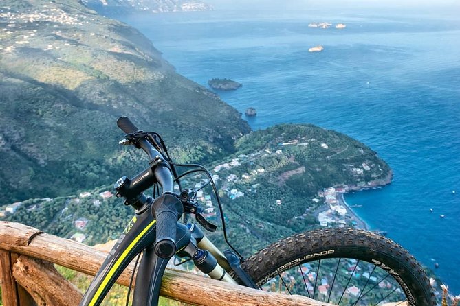 E-Bike Food and Wine Tour in the Sorrento Peninsula - Culinary Experiences