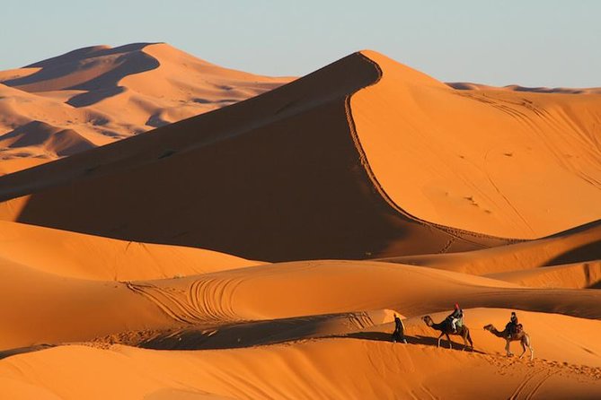 ✅ Camel Ride and Overnight in Sahara Desert Camp - Inclusions and Pricing Details