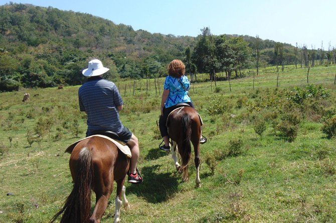 East Coast Horseback Riding & Waterfall Excursion - Exceptional Reviews and Ratings