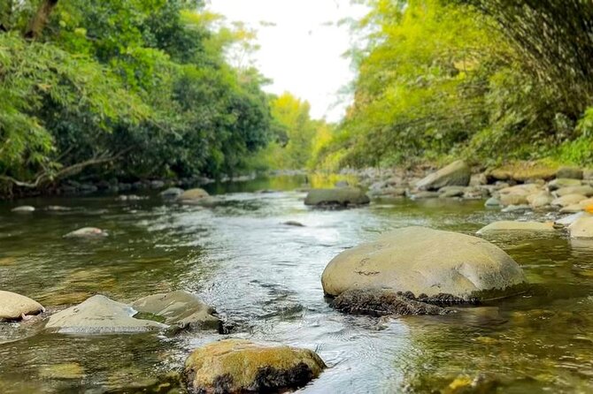 El Yunque Hike, Waterslide, Beach & Cuisine With Transport - Recommendations for Travelers