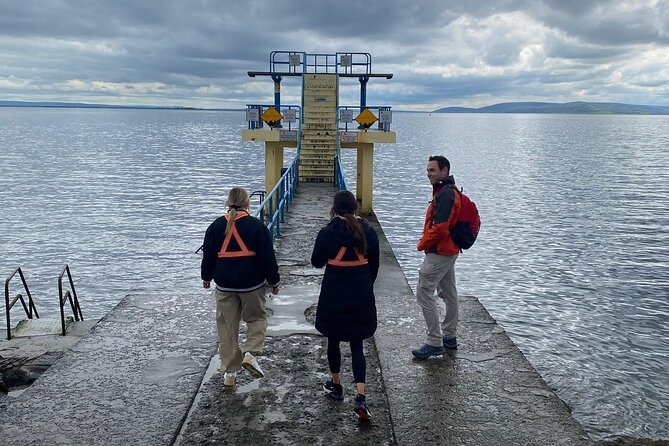 Electric Bike Tour of Galway City With Expert Local Guide - Opportunity to Swim at Blackrock