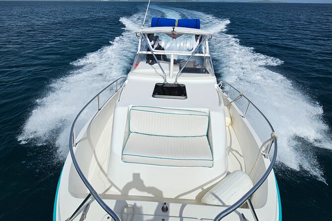 Enjoy the Best Boat Excursion in Puerto Rico. All Inclusive - Traveler Recommendations