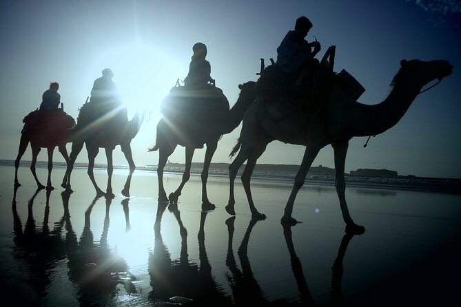 Essaouira: 2h/Quad+1h/Dromedary Ride Free Transfer - Accessibility and Transportation