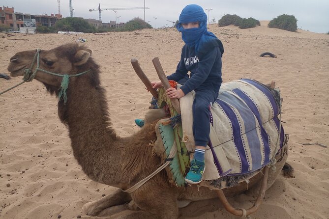 Essaouira: an Unforgettable 2 Hour Ride on a Camel - Accessibility and Transportation Considerations