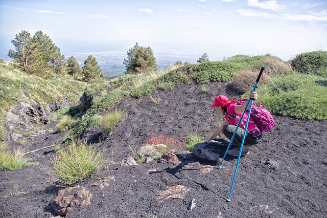 Etna Family Tour Excursion for Families With Children on Etna - Cancellation and Refund