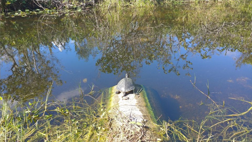 Everglades Airboat Ride & Tram Tour - Included Amenities