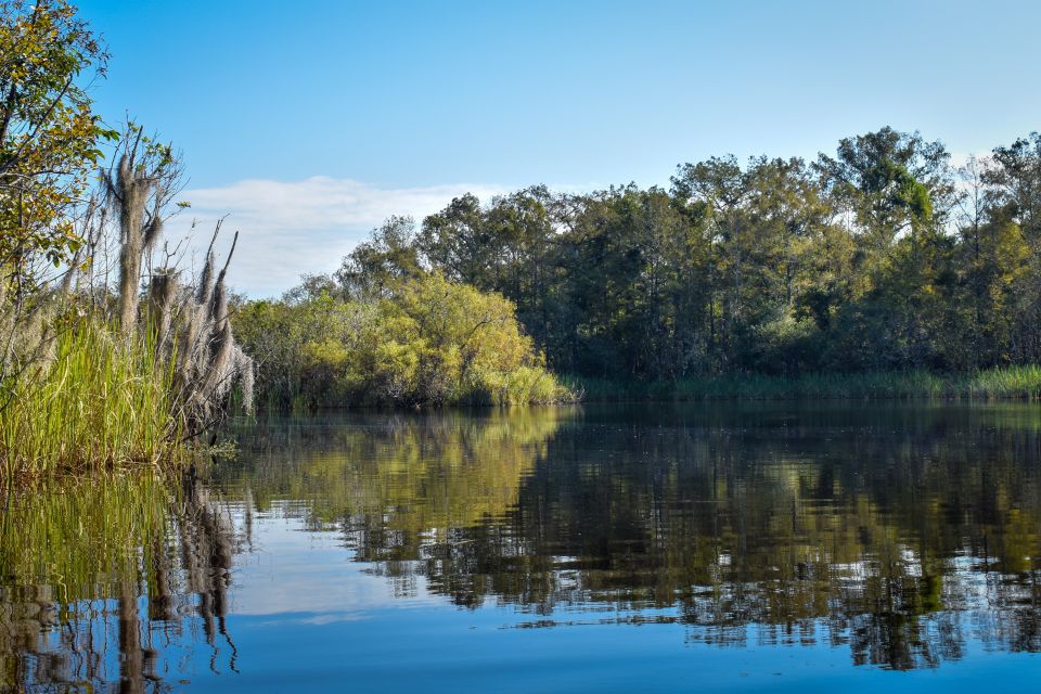 Everglades City: Guided Kayaking Tour of the Wetlands - Discovering the Everglades Ecosystem