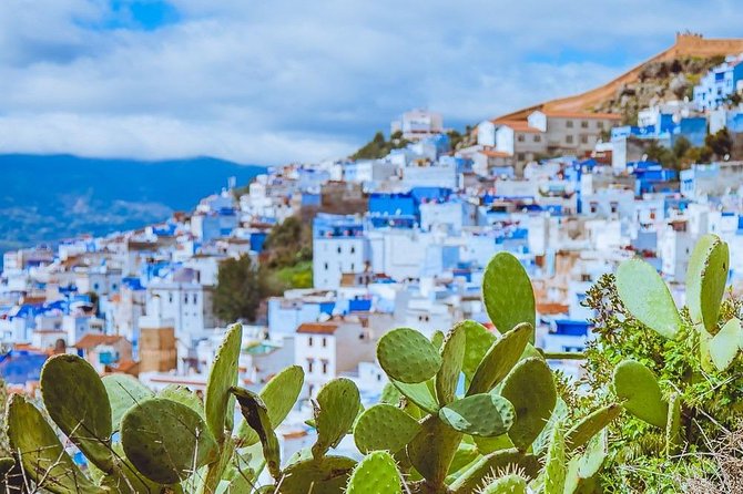 Excursion to Chefchaouen and Tetouan From Tangier - Accessibility and Infant Seat Availability