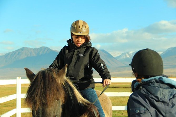 Family Friendly Horse Riding Tour in Skagafjörður - Health and Safety