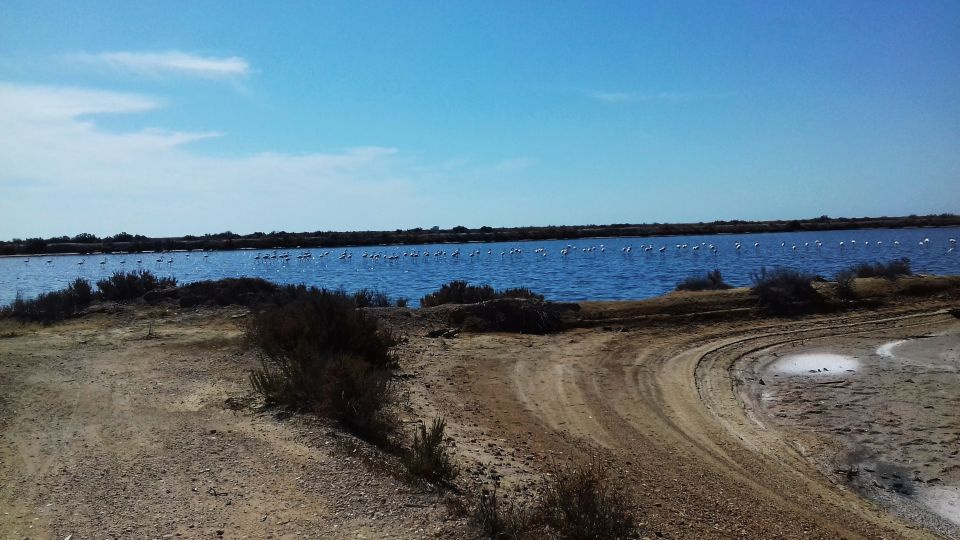 Faro Bike Tour Through the Beautiful Ria Formosa - Tour Inclusions