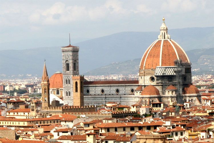 Florence: Full-Day Excursion From Rome - Mercedes Minivan and Professional Driver