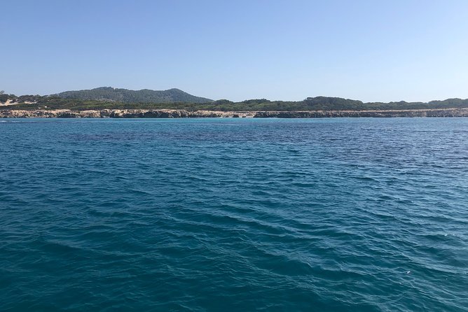 Formentera Small-Group Day Trip by Sailboat From Ibiza - Experience Highlights and Activities