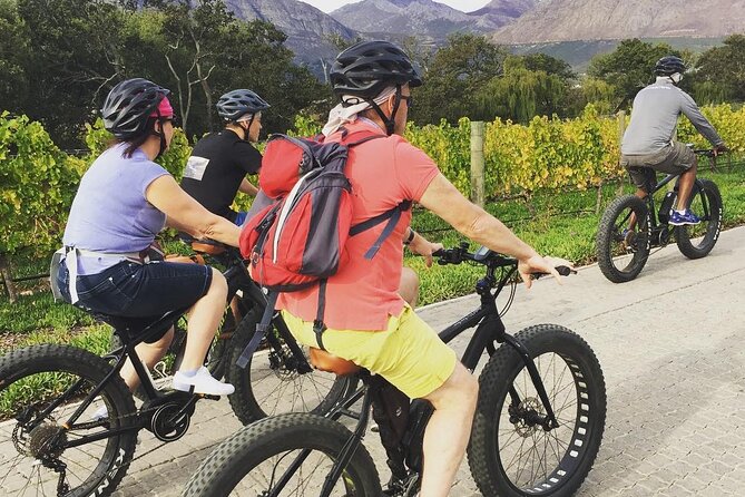 Franschhoek E-Bike Wine Tour (Half Day) - Stopping at Wine Estates