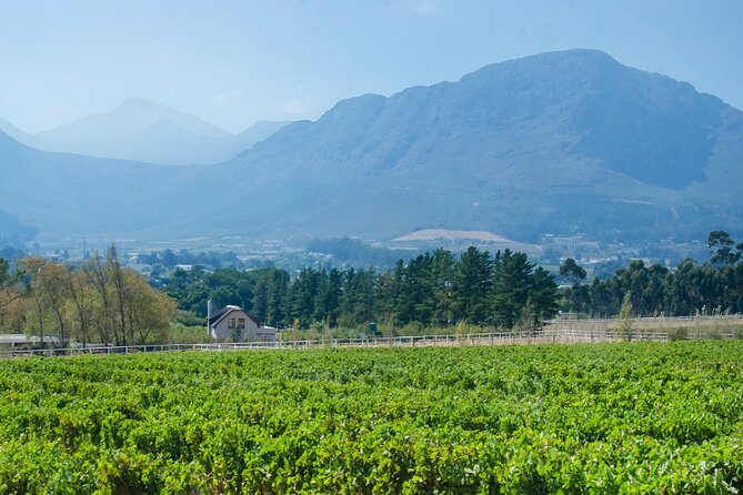 Franschhoek Winelands Luxury EBike Tour - Tour Experience