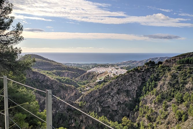 Frigiliana Small-Group Hike and Wine Tasting Tour From Malaga - Tour Highlights and Recommendations