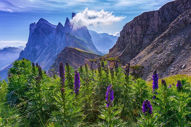 From Bolzano: Private Tour of Dolomites in Mount Seceda and Funes Valley - Why Choose This Tour?