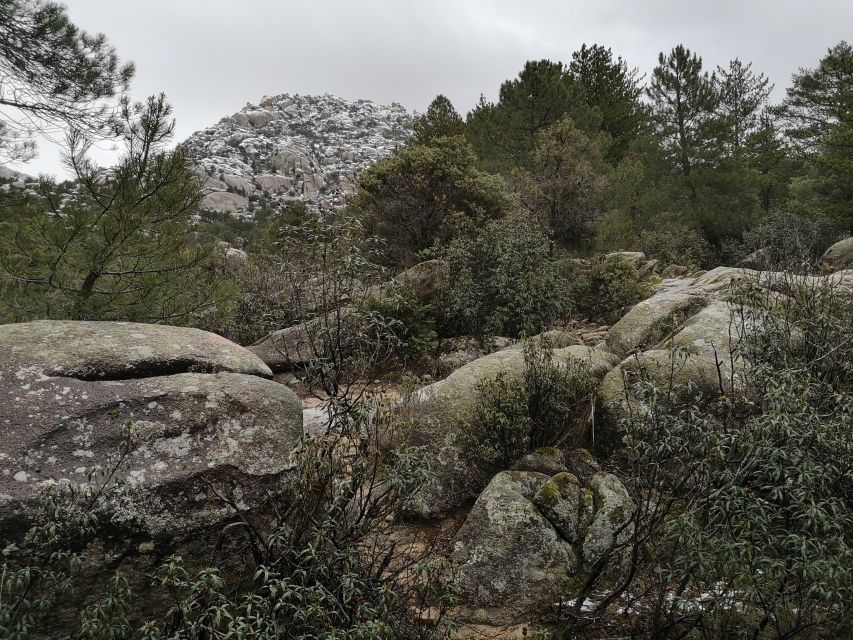 From Centro: Guadarrama National Park Private Tour - Itinerary and Logistics