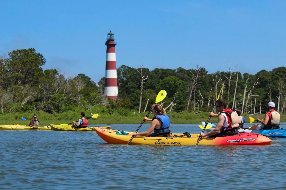 From Chincoteague: Guided Kayak Tour to Assateague Island - Kayak Tour Restrictions