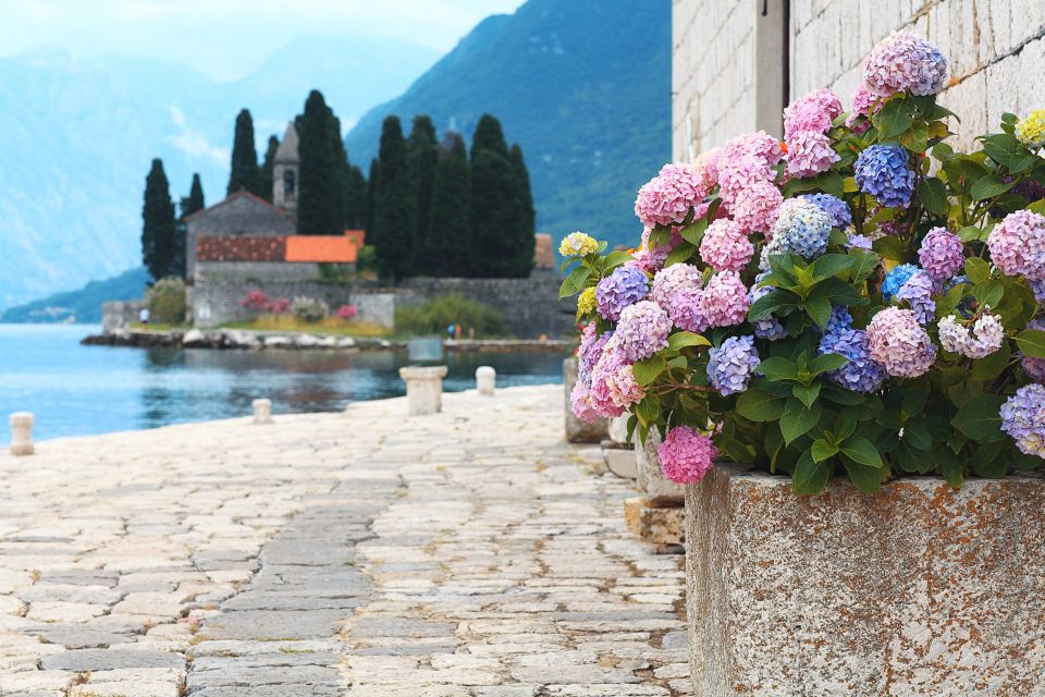 From Dubrovnik: Montenegro Highlights Day Tour - Scenic Drive Along the Coast