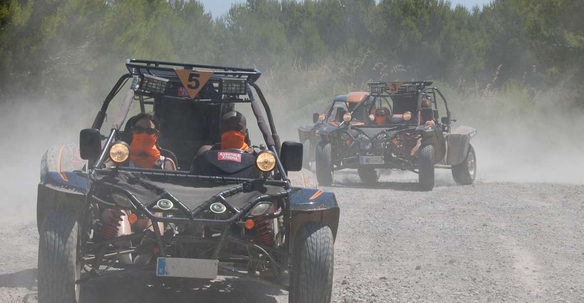 From East Mallorca: Guided Beach and Mountain Buggy Tour - Booking and Reservations