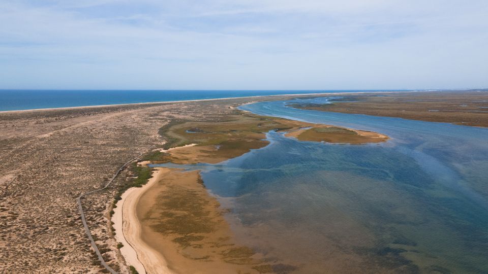 From Faro: Ria Formosa Eco Tour Guided by Marine Biologist - Guided Eco Tour Through Ria Formosa