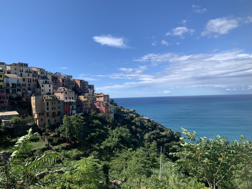 From Florence: Private Roundtrip Transfer to Cinque Terre - Riomaggiore: Vibrant Coastal Hamlet