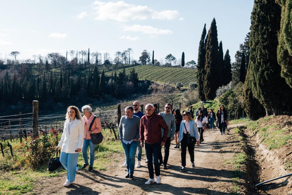 From Florence: Private Transfer to Bolgheri - Comfortable Shoes