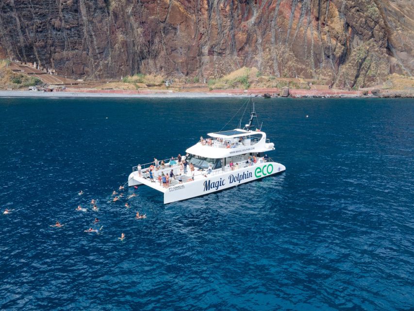 From Funchal: Ecological Catamaran Dolphin Whale Watching - Departure and Arrival