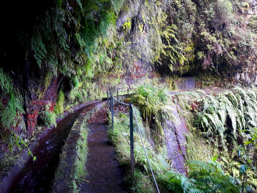 From Funchal: São Jorge Valleys Levada Walk - Booking Information